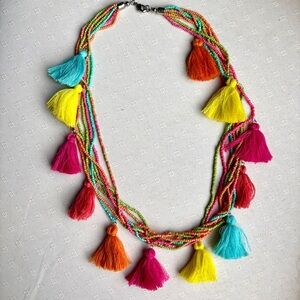 Multicolor 24” Tassel Necklace